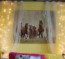Lake Bonavista Tween Bedroom 